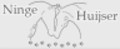logo Huijser Dierenfysiotherapie Ninge